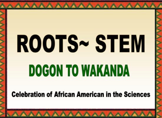 Roots-to-Stem-768x544